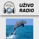 delfin-radio-prokuplje