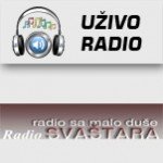 radio-svastara