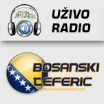 Radio Bosanski Teferič