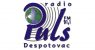 Radio Puls Despotovac