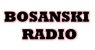 Bosanski Radio USA